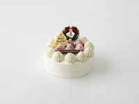 【グランビレッジ会員様】　クリスマスデコレーション（5号）　【銀行振込決済用】