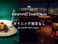 [12/23~25 Viewtiful Christmas 2025] (No seat reservation)