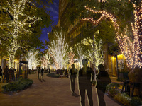 DINNER COURSE Xmas menu ¥20,000 