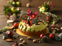 E タルト ピスター15㎝