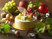 G デュオフロマージュ15㎝