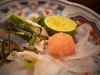 [Private room] Special course of natural tiger blowfish, wagyu beef, and seasonal seafood, around 13 dishes in total