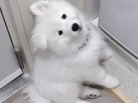 Weekends and Holidays: Regular ticket (50 minutes)