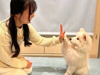 ≪평일≫전세 플랜(50분)¥25,000