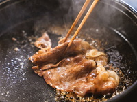 こぎつねコース