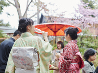 【4/22-5/8】春爛漫桜まつり