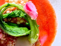 Shikiコース　7品