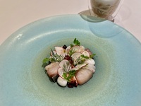 Lunch Menu Pranzo Gastronomia