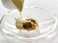 ディナーコース Menu Stagione（平日限定）