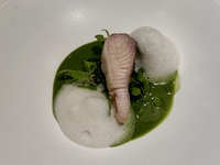 ディナーコース Menu Cena Speciale