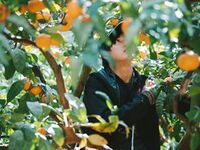 3/13(金）3/14（土）善兵衛農園のデセールコースイベント