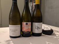 Dinner Course＋Alcohol Peiring