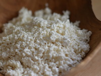 麹と発酵のワークショップ