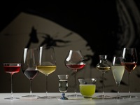 <Dinner> MENU "VOYAGE"  全10品 プレミアムコース＋アルコールペアリング7杯付