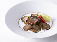 【星ヶ岡ディナーコース】ふかひれ（原鰭）の上海風煮込みに十勝ハーブ牛など全７品＋1ドリンク