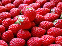 4日間限定　苺Party(苺メインのショートコース）