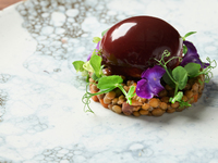 Symphony of Wellness Dinner