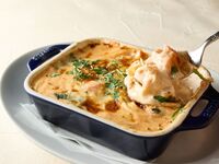 【平日限定】NEWLIGHT Prix fixe Lunch