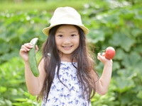 【季節限定】有機野菜の収穫体験オプション