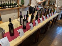 ★１１月８日（土）開催★　　　限定３０名様　　　　　　　　　　　　　　　　　　　　　　　　　　　　　　　　【スペイン・日本・イタリア・フランス４ヵ国１６種類飲み比べ・ワイン会イベント】