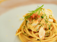 Weihnachtsspecial für Kinder: 4–12 Jahre