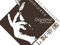 夜茶会　長崎県東彼杵　大山製茶園