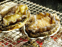 せたな(焼き鮑)コース《3名様以上のご予約の場合》　〈年末年始ご料金〉お一人様61,644円