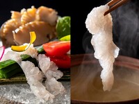 【会員様限定】巴（ともえ）