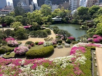 【 春の庭園×ランチSaison】４月限定！メインディッシュは牛肉のお料理へグレードアップ