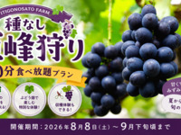 ★Seedless Kyoho grape picking (40-minute all-you-can-eat plan) [Weekdays]