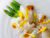 季節のテイスティングコース (主菜：サーモン)