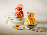 SHAVED ICE SET - 18F Restaurant