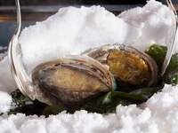 鮑とうかい厳選牛ランチコース【厳選牛フィレ】