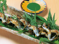 Kyoto Kaiseki [Suisen]