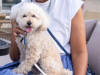 お席のみのご予約（ペット連れOK）