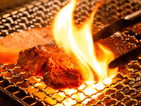 【7品11,000円肉だらけコース】