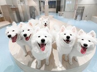 Weekdays: Private plan (50 minutes) ¥48,000