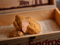 六本木スペシャルコース＋イタリア産白トリュフ