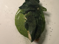 クリスマス　ランチAコース　1ドリンク付き　