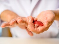 【7/8-9】おまかせ握り寿司　八潮