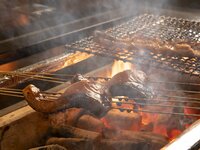 【忘新年会プラン】Bプラン（おもてなしコース+飲み放題）