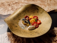 Kumamoto Short Course