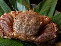 【個室】松阪牛と特大毛蟹のコース(通年)