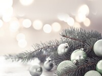 【10,000円】2024 Xmas Holy Night クリスマスディナー