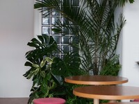 お店からのお知らせ