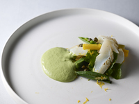 【Special Price/Table Check Limited】6course dinner + free flow