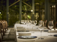 [Dinner]  Party Plan