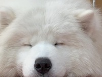 Weekends and Holidays: Regular ticket (50 minutes)