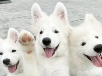 ≪평일≫전세 플랜(50분)¥25,000