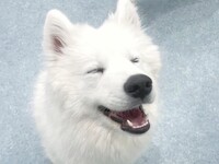 ≪토일요일 공휴일≫ 전세 플랜(50분)¥45,000